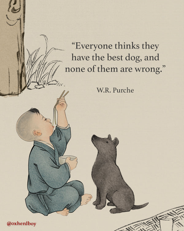 Dogs