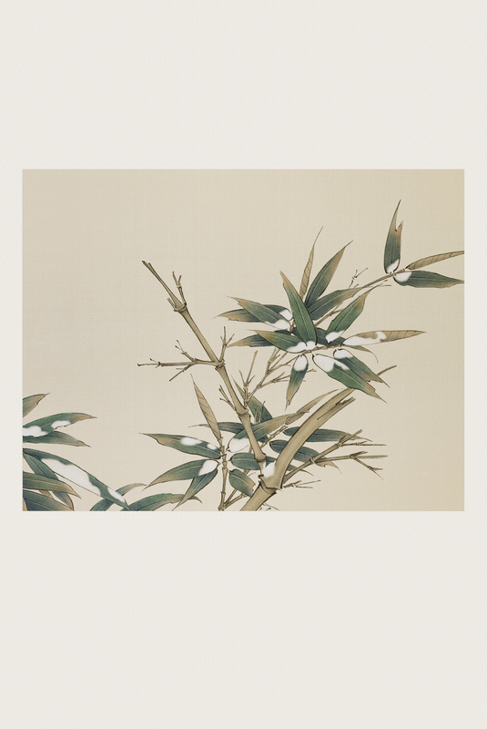 Bamboo (24"x36") Signed Scroll