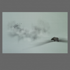 A Dark Place (18"x18") Signed Scroll