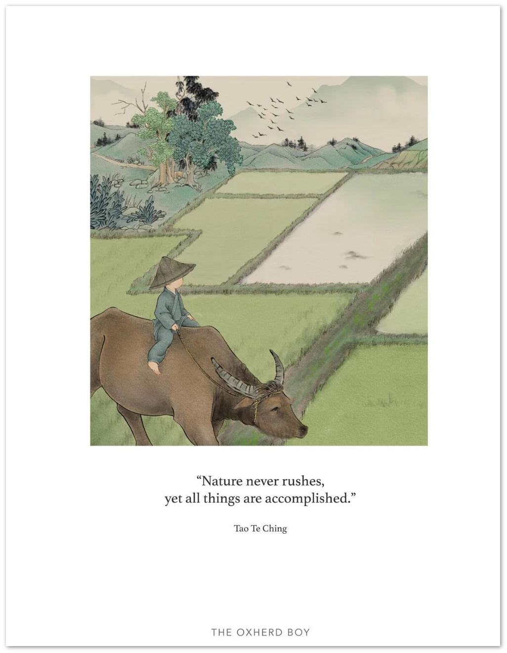 018528a7-f95f-462e-b026-f9207732b48c